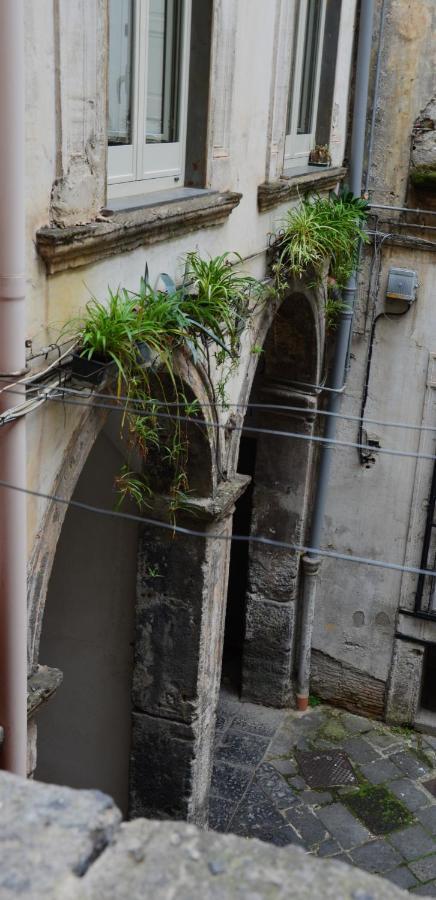 Carmelina 20 Appartamento Napoli